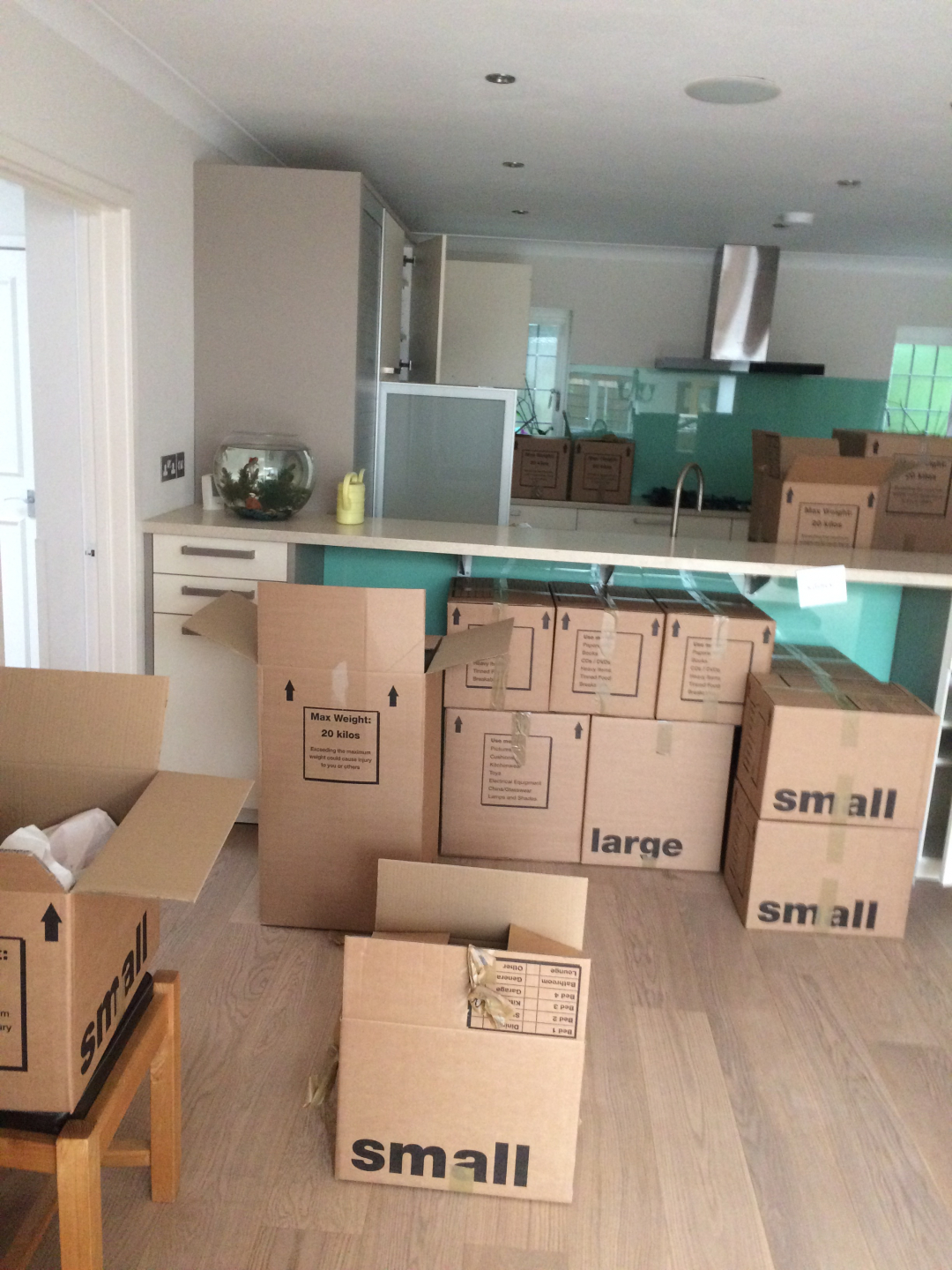 Photo by Olivia of Knights of Surrey - Large