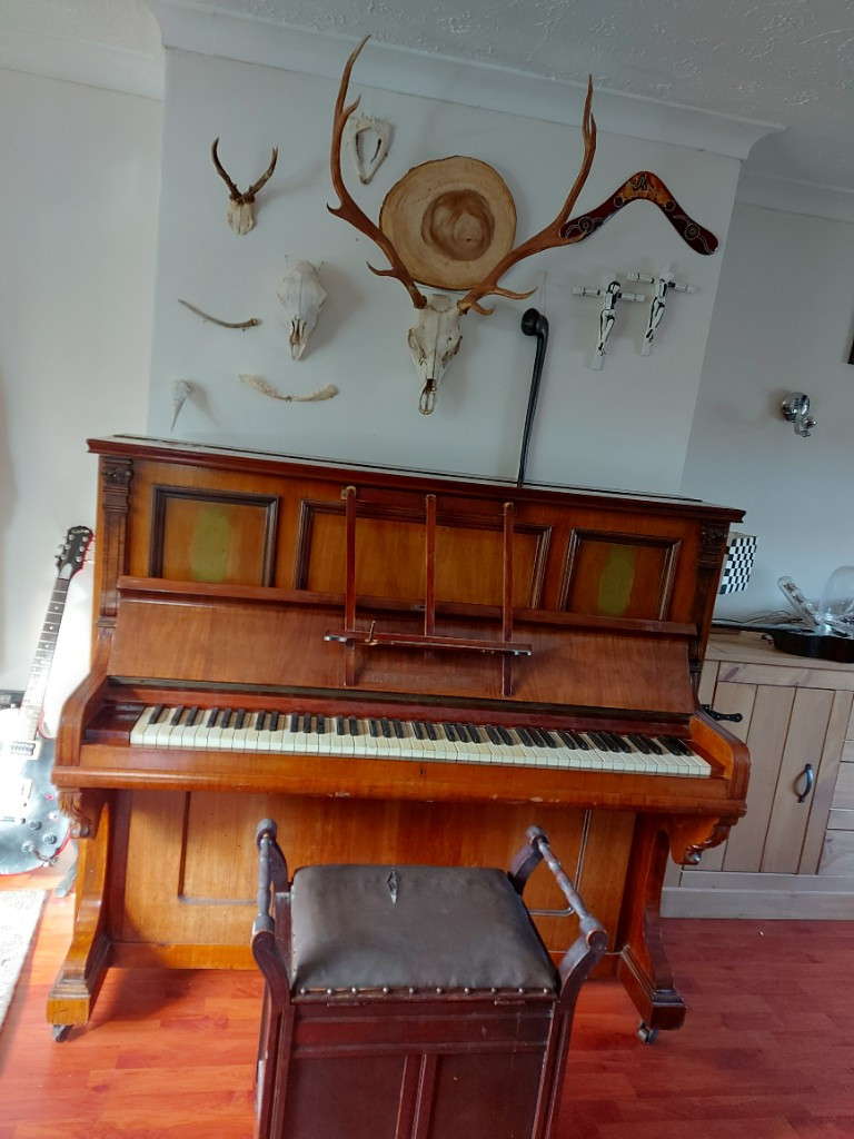 Photo by Jessica Swan of Scot Removals - Large