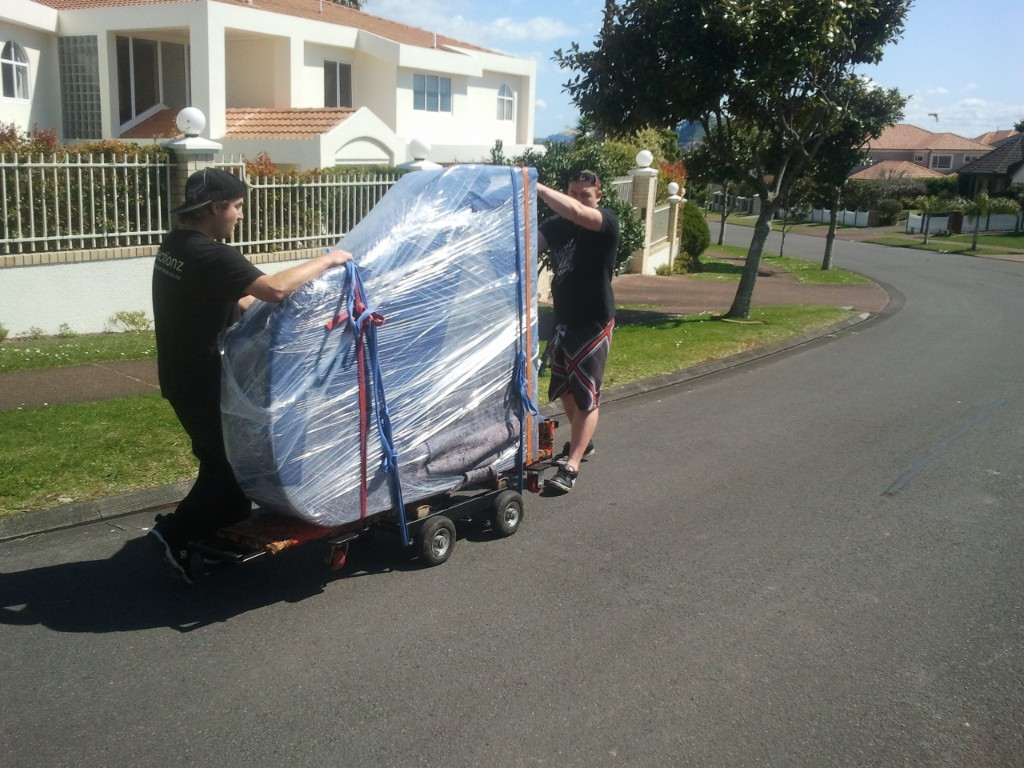 3 Reviews for Easy Movers NZ from Auckland, Wellington