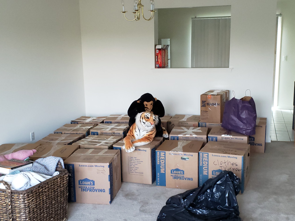 Second photo by Geovanny Alvarenga of FlatRate Moving - Large