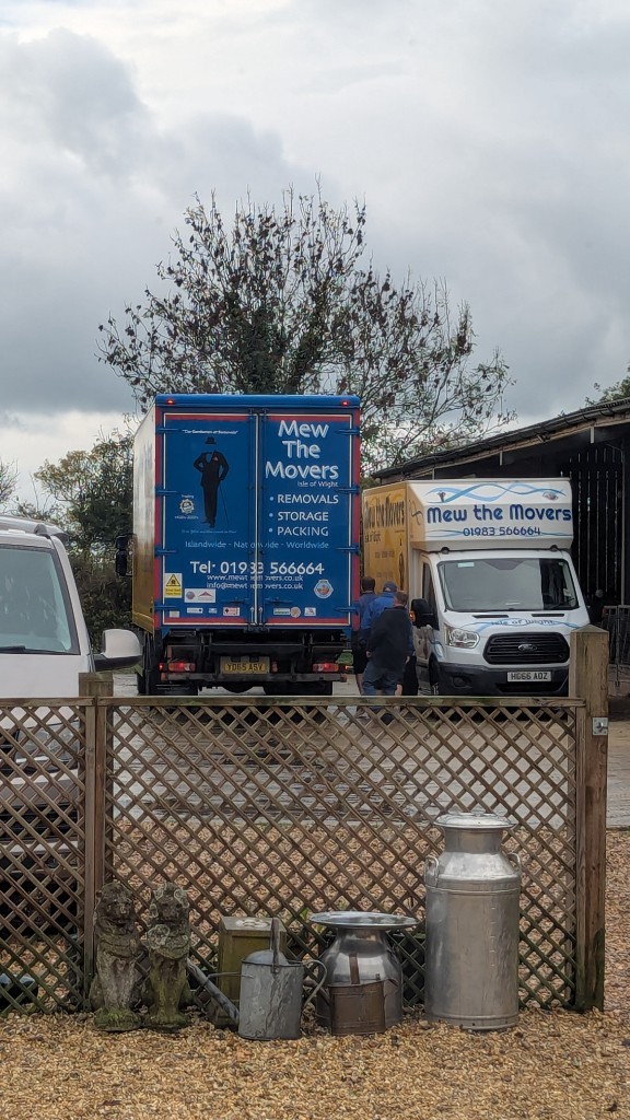 Photo by Fiona Davies Russell of Mew the movers - Large