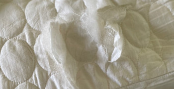 Thumbnail photo by Linda Vigdor of FlatRate Moving