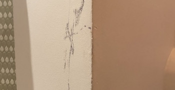 Thumbnail photo by Yuki Sumner of AnyVan