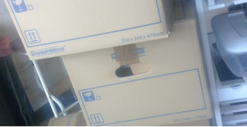 Thumbnail photo by Barbara Young of AnyVan