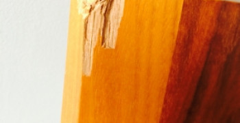 Thumbnail photo by Humphrey Johnson of Pickfords