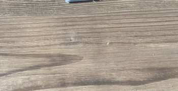 Thumbnail photo by Paul Martin of AnyVan