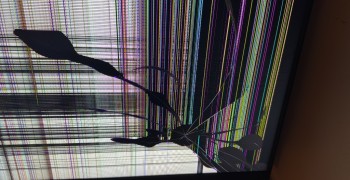 Second thumbnail photo by Andres Morales of Removals Zone