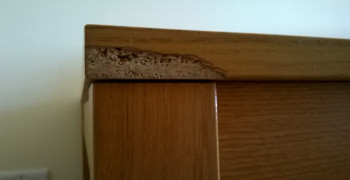 Second thumbnail photo by Guy P of AnyVan