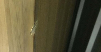 Second thumbnail photo by Tamara Smith of Handy Moves