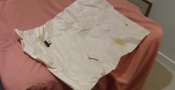 Second thumbnail photo by Caryll Beck of Pickfords