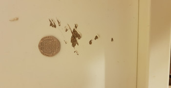 Second thumbnail photo by Matt Smith of Removers and Storers Ltd