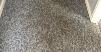 Thumbnail photo by Tirzah of AnyVan