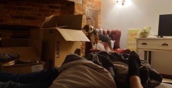 Thumbnail photo by Simon M Horth of Porters Of Woking