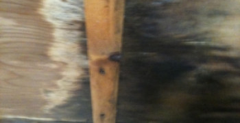 Second thumbnail photo by Melinda of Pickfords