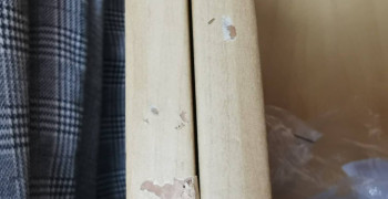 Thumbnail photo by Nicholas Harrison of AnyVan