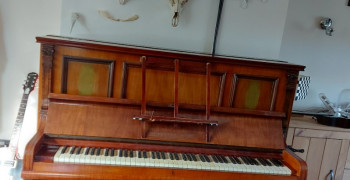 Thumbnail photo by Jessica Swan of Scot Removals