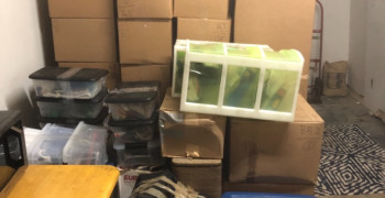 Second thumbnail photo by Dominick Romeo of FlatRate Moving