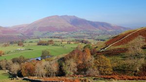 Moving to the country may be the right step for you.