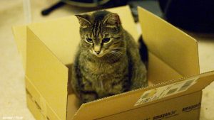 What items not to pack when moving