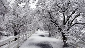 Moving in winter