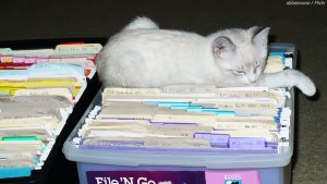 How to organize documents when moving