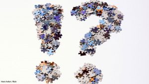 Questions to ask removal company