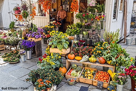 German Fruit Stall