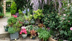 How to move a garden