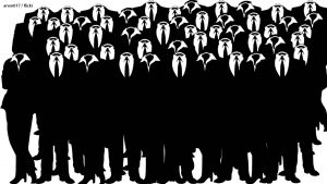 Why social proof matters