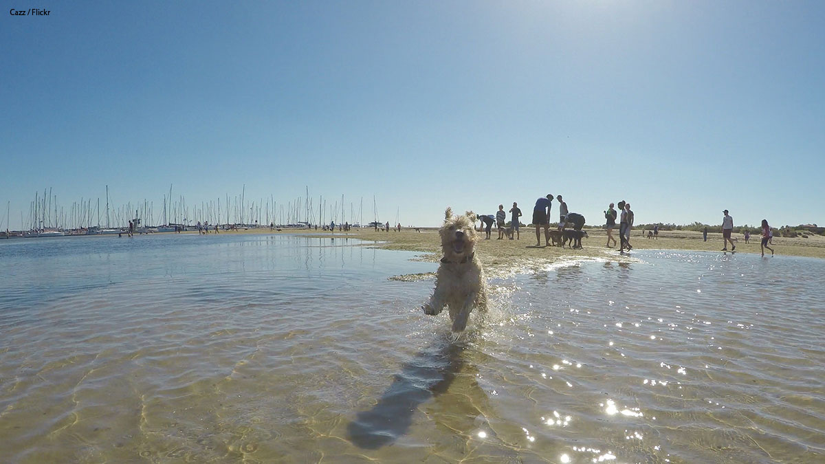 The Best of the Best Places to Move to……. FOR YOU! RemovalReviews