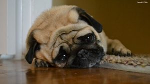Moving from home you love