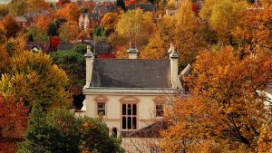 Moving Home in Autumn