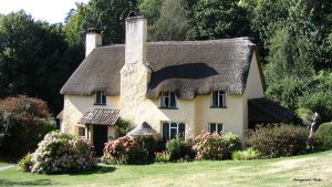 Moving to the Country