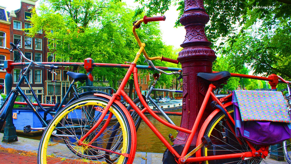 Moving to the Netherlands Moving Costs and Regional Guides 2023