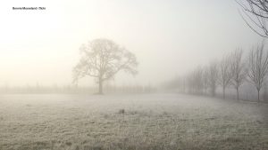 Moving in Winter